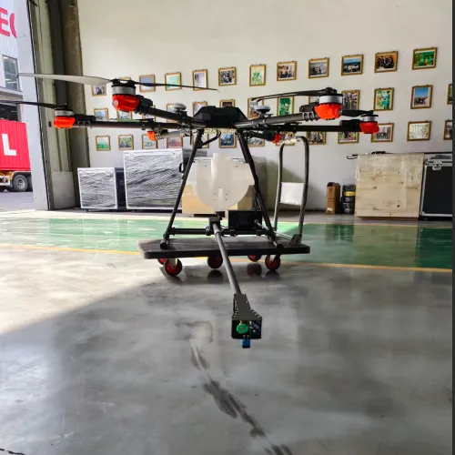A Preliminary Analysis of the Application Prospects of Drone